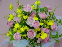 葵君ホームページアレンジなど 009_R.JPG