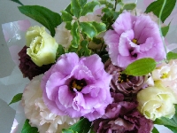 葵君ホームページアレンジなど 041_R.JPG