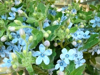 花店舗内の 009_R.JPG